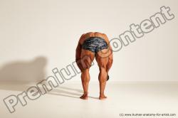 Bodybuilding reference poses of Ramon